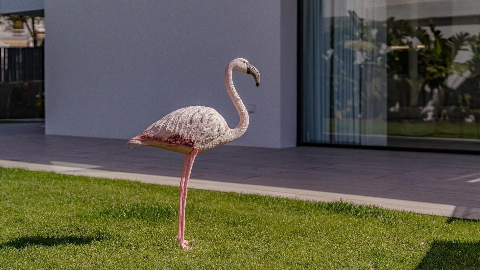 Apartment Don Carlos Sea View - Adults Only ! Playa de las Americas